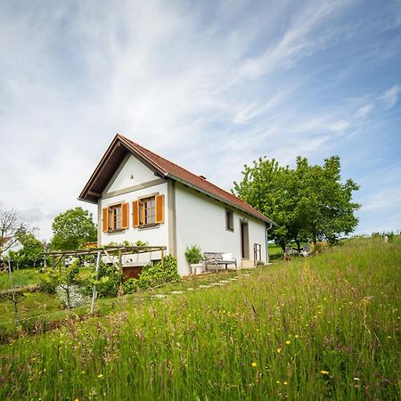 Villa Weinloft I Edlitz im Burgenland Exterior foto