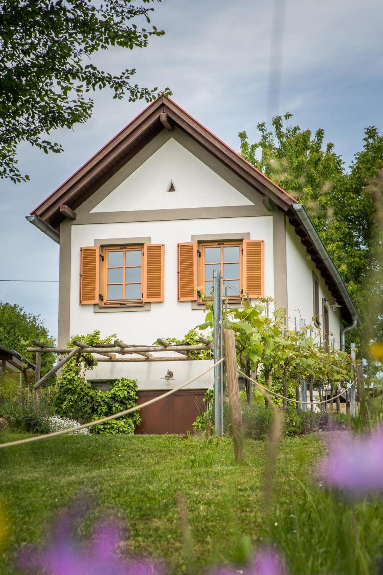 Villa Weinloft I Edlitz im Burgenland Exterior foto