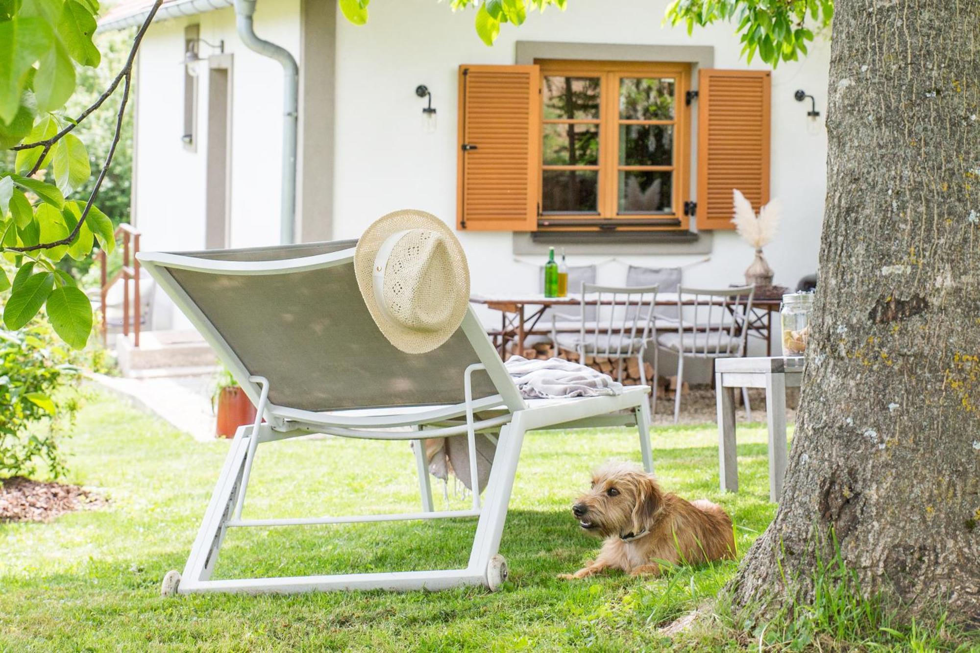 Villa Weinloft I Edlitz im Burgenland Exterior foto